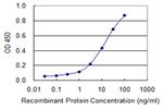 SLC5A3 Antibody in ELISA (ELISA)