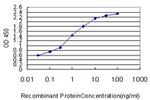 SLIT3 Antibody in ELISA (ELISA)