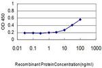 SMN2 Antibody in ELISA (ELISA)