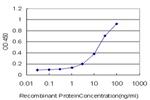 SMO Antibody in ELISA (ELISA)