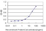 SMO Antibody in ELISA (ELISA)