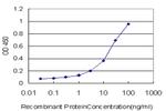 SMO Antibody in ELISA (ELISA)