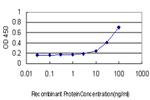 SMPD2 Antibody in ELISA (ELISA)