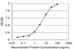 SORD Antibody in ELISA (ELISA)