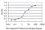 SP1 Antibody in ELISA (ELISA)