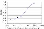 SP100 Antibody in ELISA (ELISA)