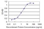 SPINK1 Antibody in ELISA (ELISA)