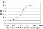 SPTBN2 Antibody in ELISA (ELISA)