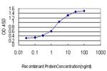 STAR Antibody in ELISA (ELISA)