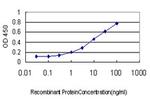 STAT3 Antibody in ELISA (ELISA)