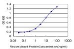 NEK4 Antibody in ELISA (ELISA)