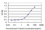 NEK4 Antibody in ELISA (ELISA)