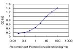 STK4 Antibody in ELISA (ELISA)