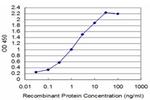 T Antibody in ELISA (ELISA)