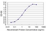 T Antibody in ELISA (ELISA)