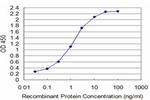 T Antibody in ELISA (ELISA)