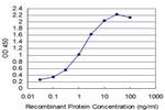 T Antibody in ELISA (ELISA)