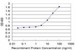 TAP1 Antibody in ELISA (ELISA)