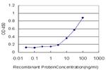 TAZ Antibody in ELISA (ELISA)