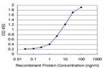 TBX6 Antibody in ELISA (ELISA)