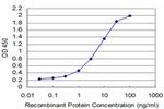 TBX6 Antibody in ELISA (ELISA)