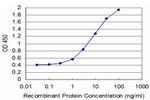 TBX6 Antibody in ELISA (ELISA)