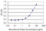 TCEA2 Antibody in ELISA (ELISA)