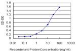 TCF7L2 Antibody in ELISA (ELISA)