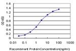 TCF7L2 Antibody in ELISA (ELISA)