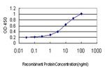 TEK Antibody in ELISA (ELISA)