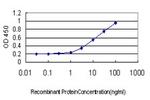 TEK Antibody in ELISA (ELISA)