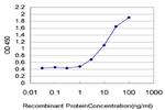 NR2F2 Antibody in ELISA (ELISA)