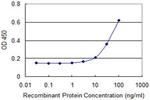 NR2F2 Antibody in ELISA (ELISA)