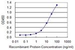 TFDP1 Antibody in ELISA (ELISA)