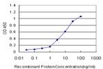 TP53BP2 Antibody in ELISA (ELISA)