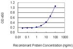 TPBG Antibody in ELISA (ELISA)