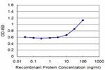 TPTE Antibody in ELISA (ELISA)