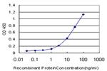 TWIST1 Antibody in ELISA (ELISA)