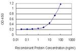 TXK Antibody in ELISA (ELISA)