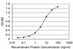 TXN Antibody in ELISA (ELISA)