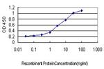 UBE2G2 Antibody in ELISA (ELISA)