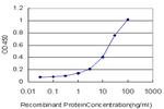 UGT2B10 Antibody in ELISA (ELISA)