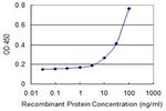 VDAC1 Antibody in ELISA (ELISA)