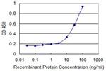 VDAC3 Antibody in ELISA (ELISA)