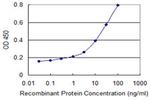 VIL1 Antibody in ELISA (ELISA)