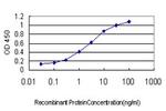 LRP8 Antibody in ELISA (ELISA)