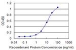 LRP8 Antibody in ELISA (ELISA)