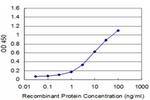 PAX8 Antibody in ELISA (ELISA)