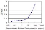 PAX8 Antibody in ELISA (ELISA)