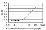 PAX8 Antibody in ELISA (ELISA)